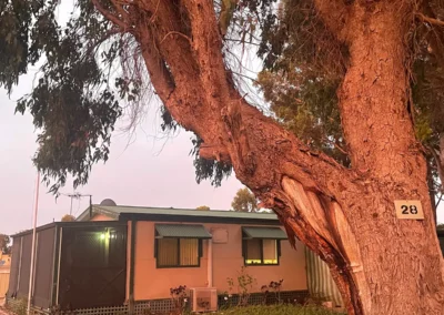 Image of cabin near a big tree